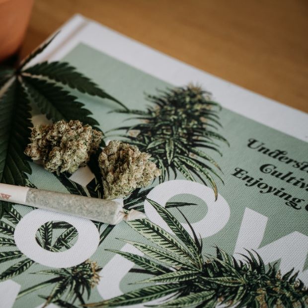 getting into the cannabis business industry